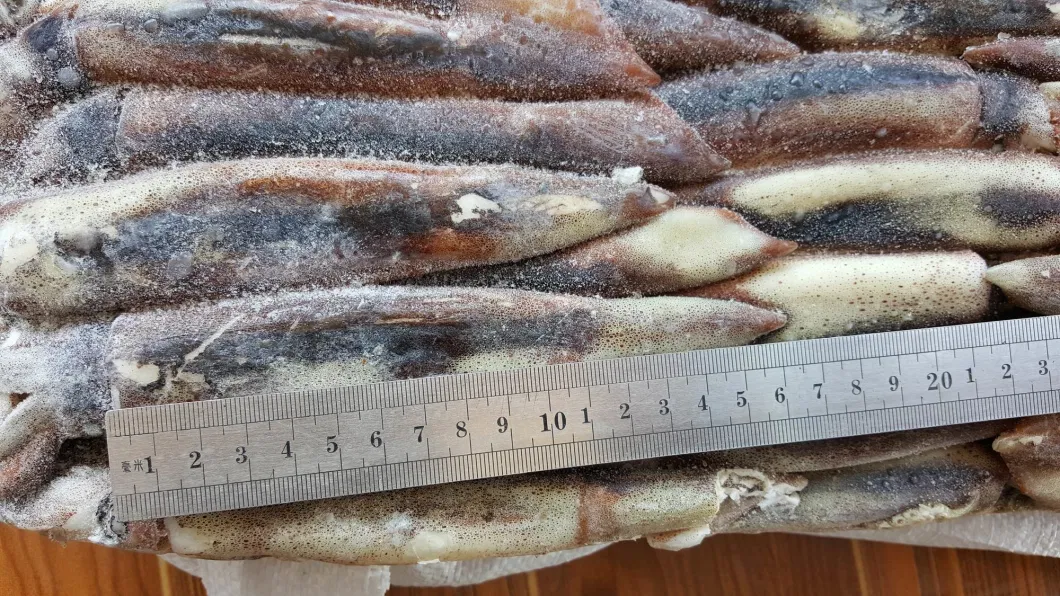 Frozen Illex Squid, Argentina Squid