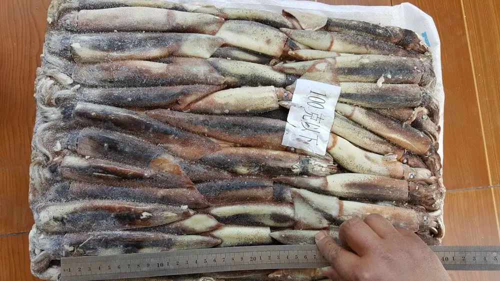 Frozen Illex Squid, Argentina Squid